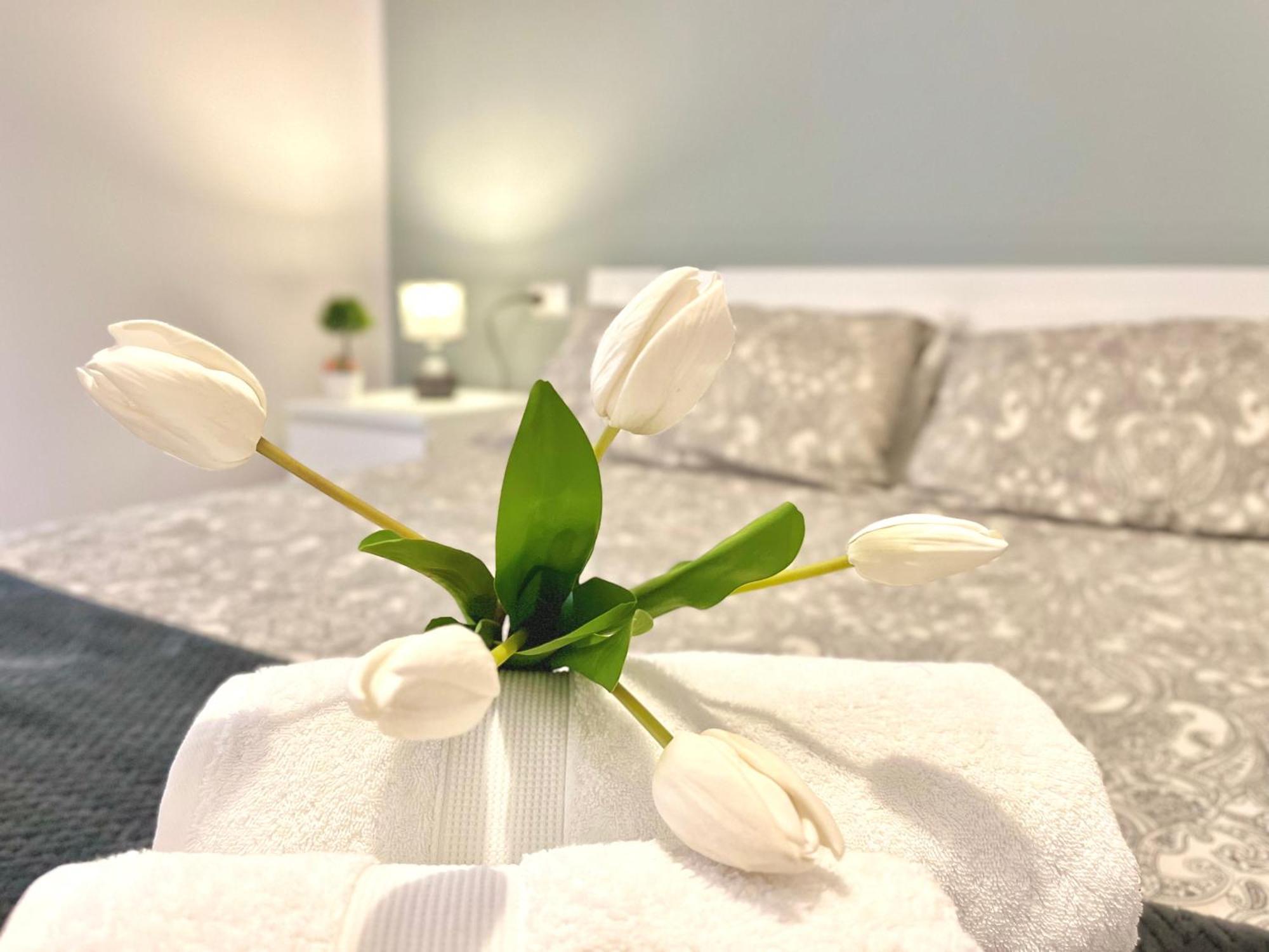 Archivio 32 Neapolitan Apartment Экстерьер фото
